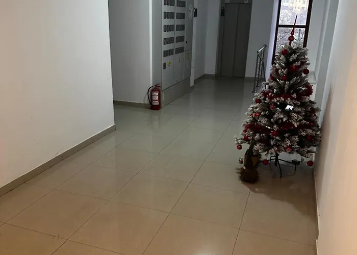 Nicolae Grigorescu Luxury * 부쿠레슈티