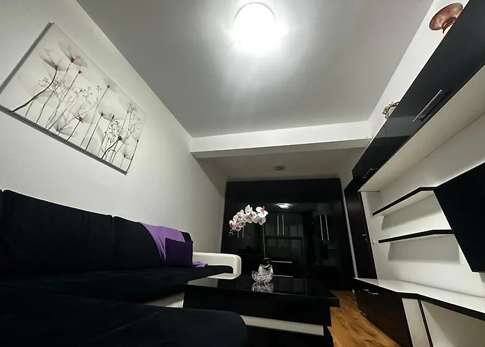 Nicolae Grigorescu Luxury