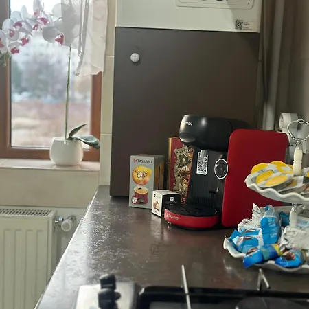 Nicolae Grigorescu Luxury Bucharest