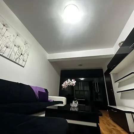 Nicolae Grigorescu Luxury