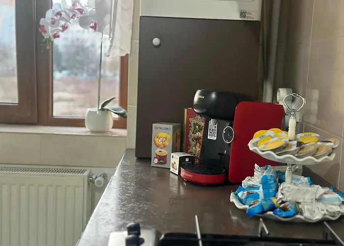 Nicolae Grigorescu Luxury Bucureşti